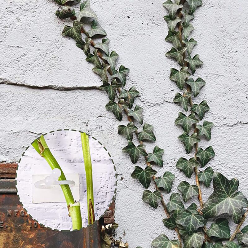 Clips for holding and arranging flowers, 50 pcs – FlowerClip » Murzl clips-for-holding-and-arranging-flowers-50-pcs