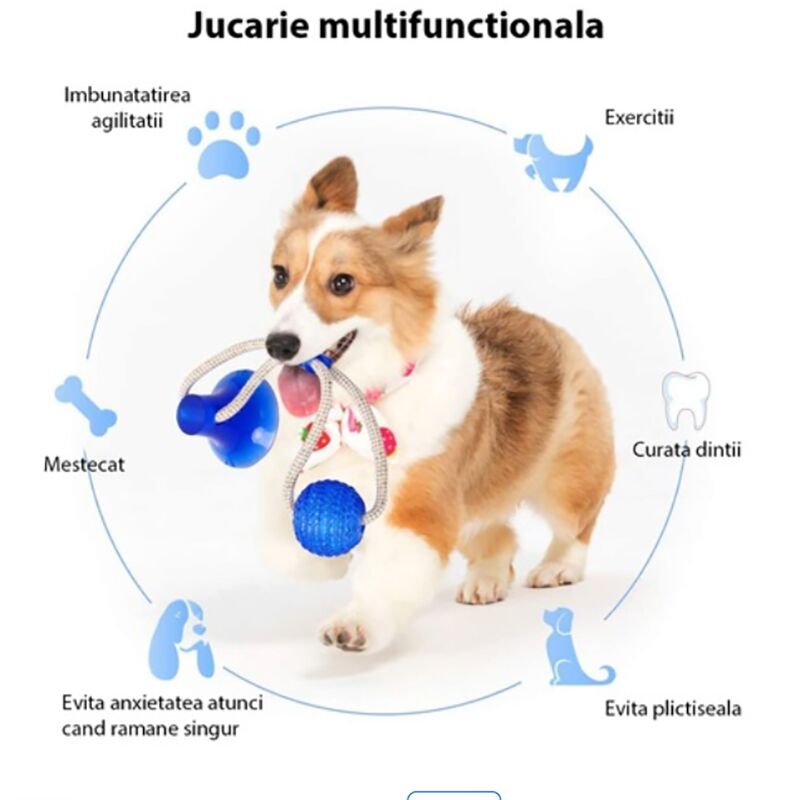 Dog toy with suction cup - DogToy » Murzl dog-toy-with-suction-cup-dogtoy