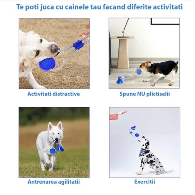 Dog toy with suction cup - DogToy » Murzl dog-toy-with-suction-cup-dogtoy