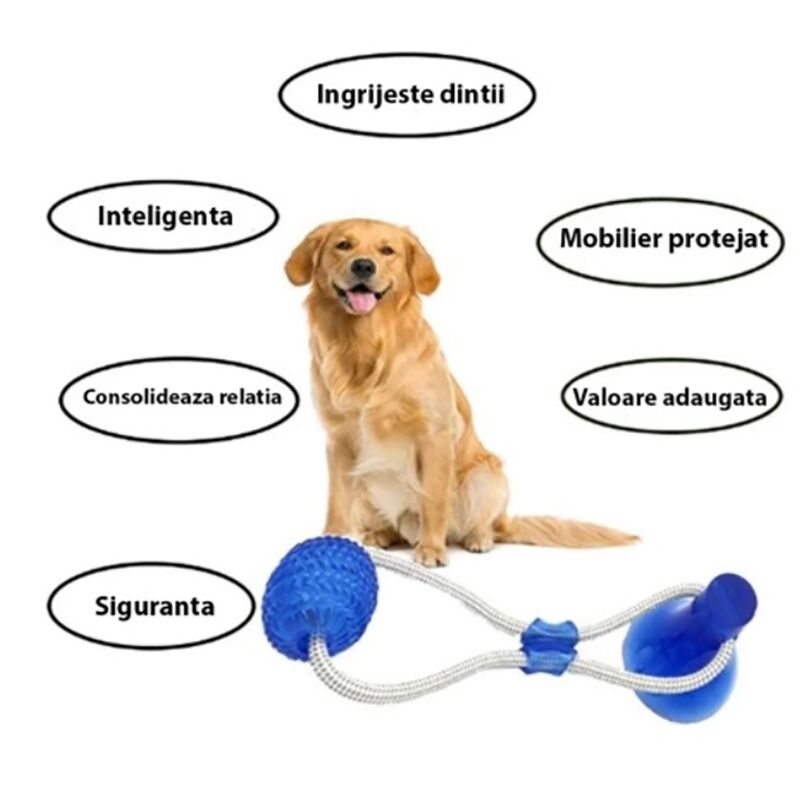 Dog toy with suction cup - DogToy » Murzl dog-toy-with-suction-cup-dogtoy