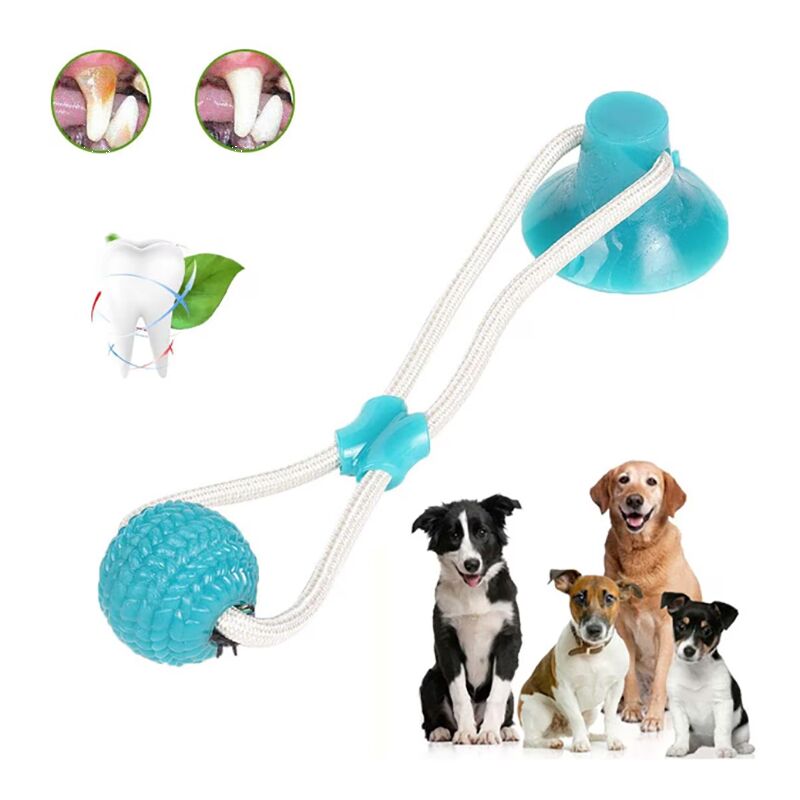 Dog toy with suction cup - DogToy » Murzl dog-toy-with-suction-cup-dogtoy